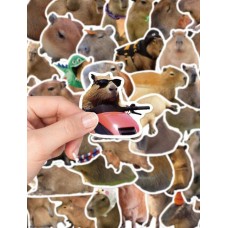 Set De 50 Stickers Capibara Animal Memes Pegatinas